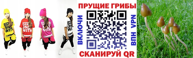 Галлюциногенные грибы прущие грибы  купить наркотик  Салехард 